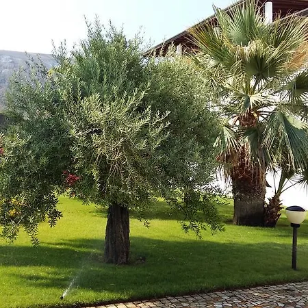 Hotel Garden 4*